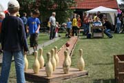 IMG_7370