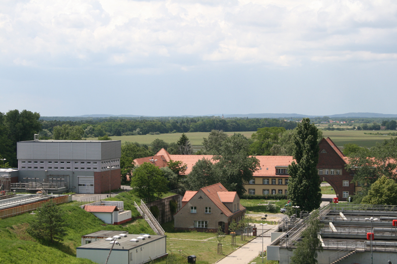 IMG_7108