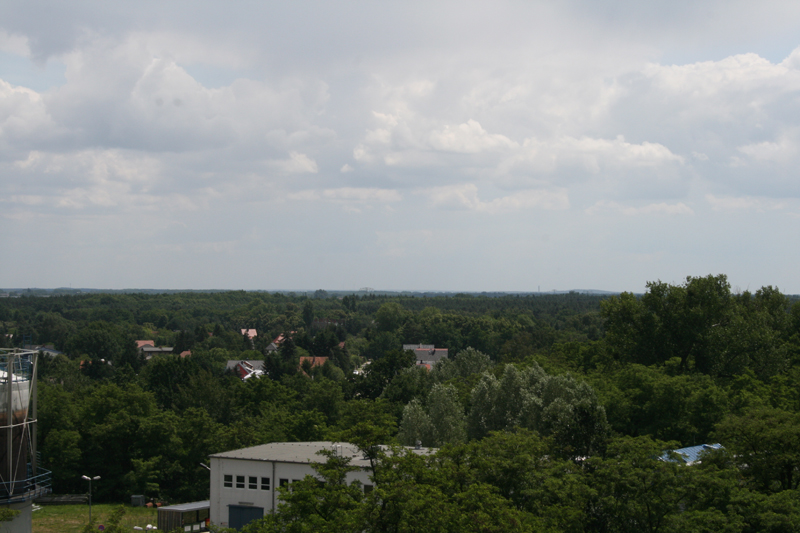 IMG_7117
